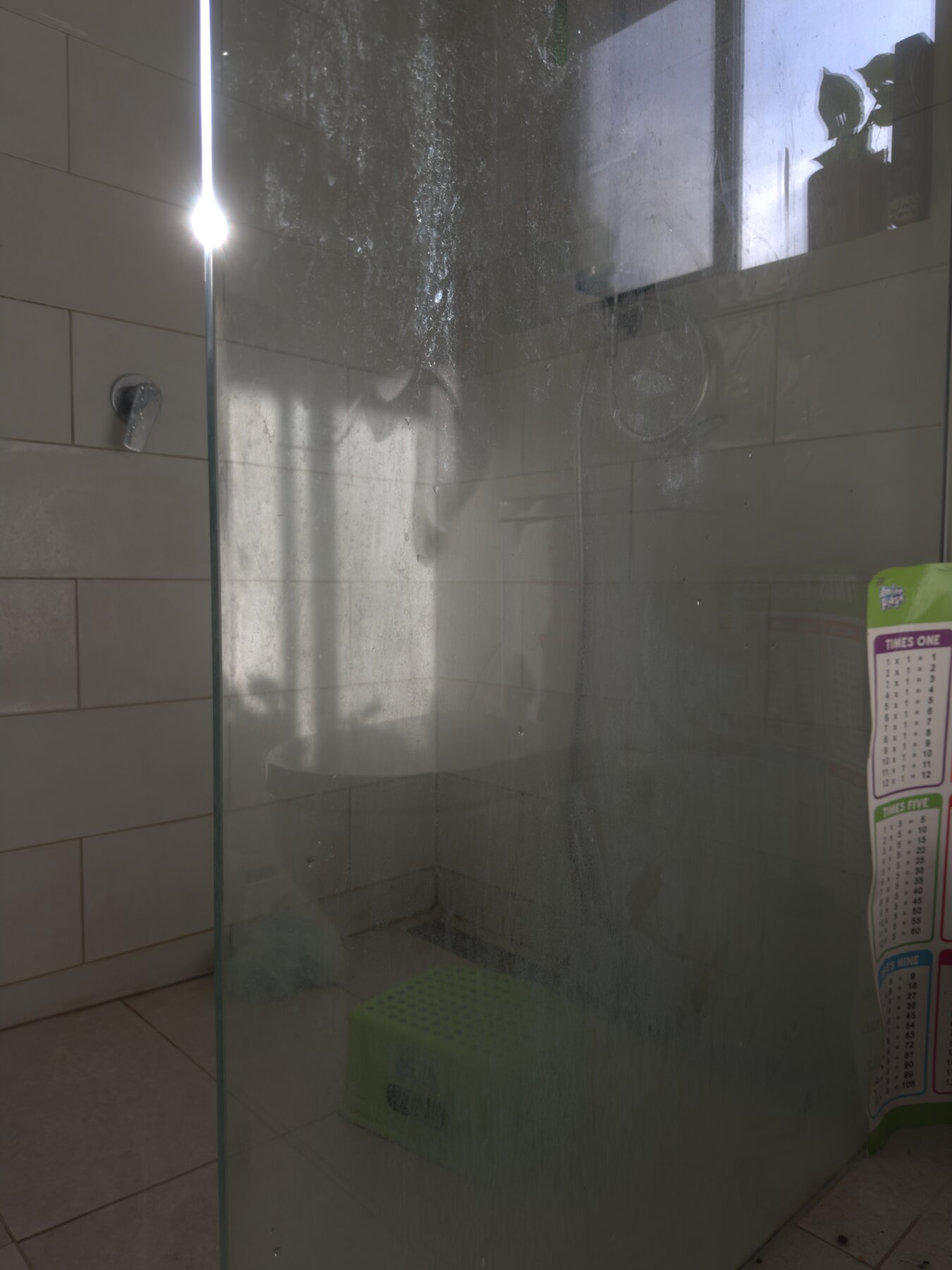 Before, Shower clean, Molly Shine & Co